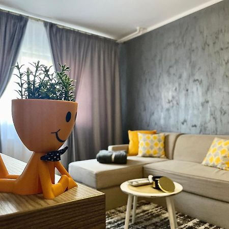 S&S Apartment Studio At Ground Floor Timisoara Town !!! Parcare La Locatie !! Buitenkant foto