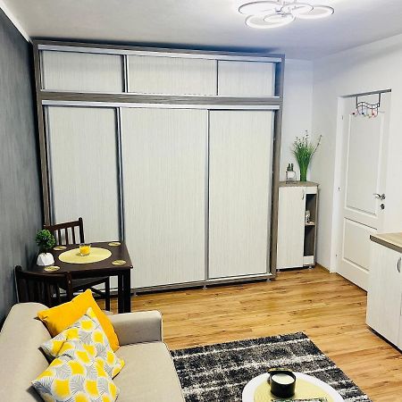 S&S Apartment Studio At Ground Floor Timisoara Town !!! Parcare La Locatie !! Buitenkant foto
