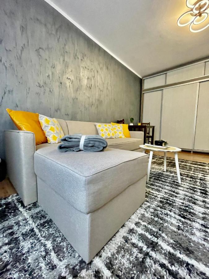 S&S Apartment Studio At Ground Floor Timisoara Town !!! Parcare La Locatie !! Buitenkant foto