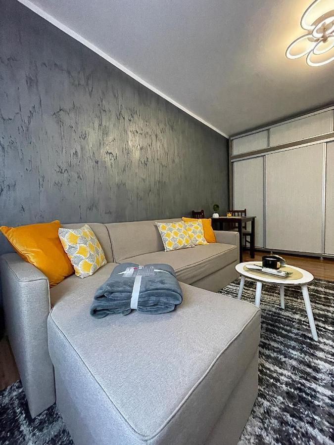 S&S Apartment Studio At Ground Floor Timisoara Town !!! Parcare La Locatie !! Buitenkant foto