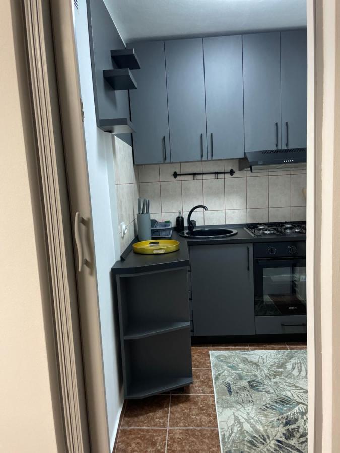 S&S Apartment Studio At Ground Floor Timisoara Town !!! Parcare La Locatie !! Buitenkant foto