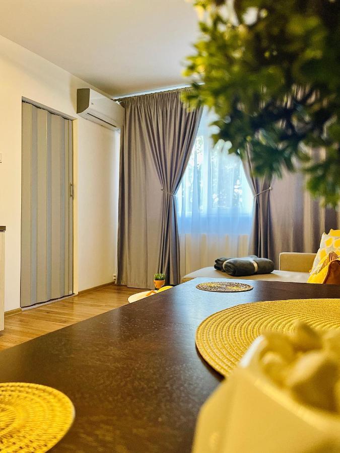 S&S Apartment Studio At Ground Floor Timisoara Town !!! Parcare La Locatie !! Buitenkant foto