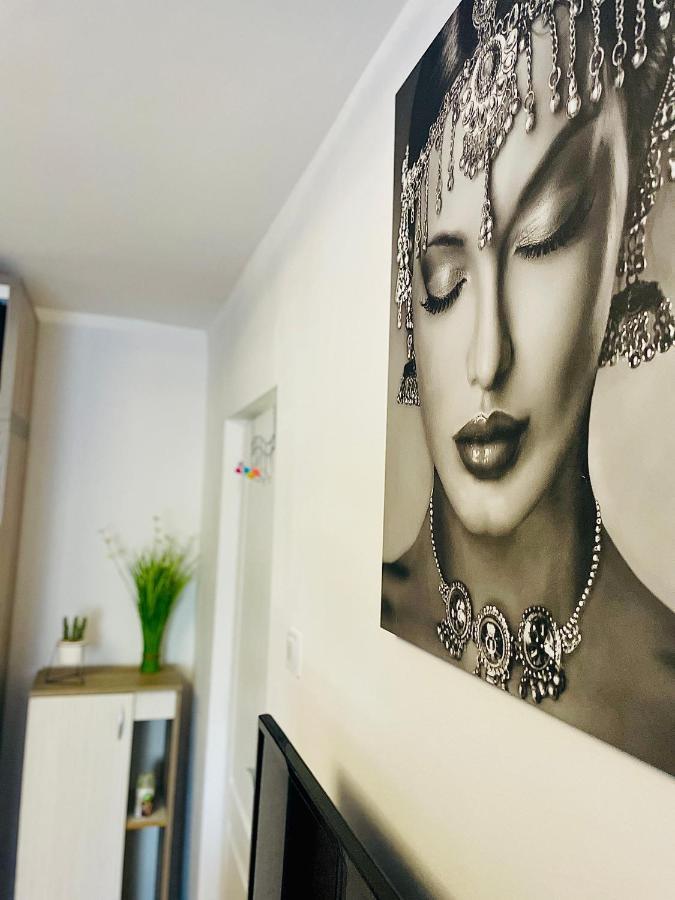 S&S Apartment Studio At Ground Floor Timisoara Town !!! Parcare La Locatie !! Buitenkant foto