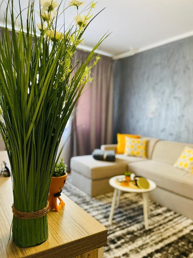S&S Apartment Studio At Ground Floor Timisoara Town !!! Parcare La Locatie !! Buitenkant foto