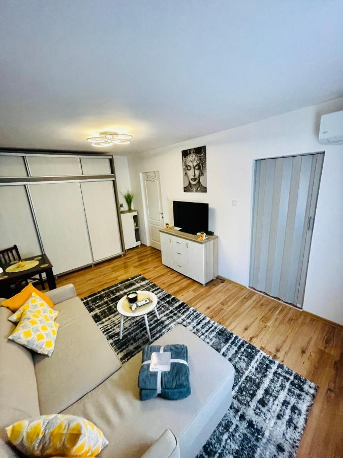 S&S Apartment Studio At Ground Floor Timisoara Town !!! Parcare La Locatie !! Buitenkant foto