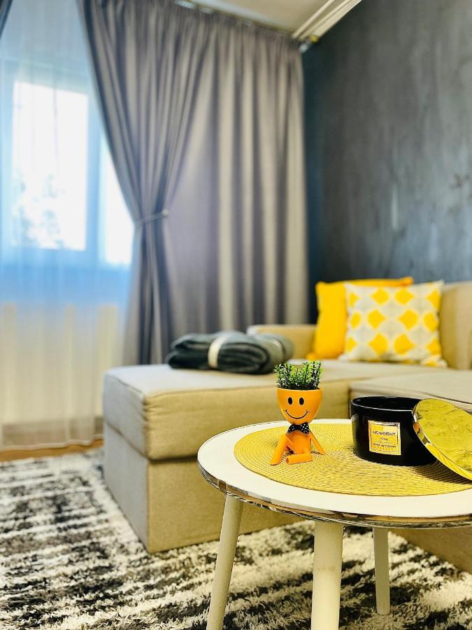 S&S Apartment Studio At Ground Floor Timisoara Town !!! Parcare La Locatie !! Buitenkant foto