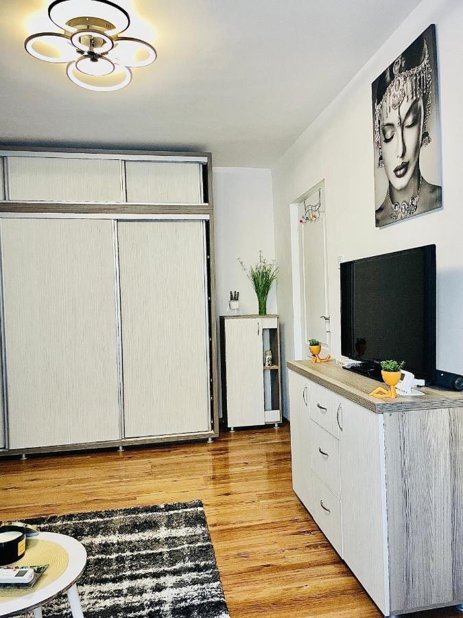 S&S Apartment Studio At Ground Floor Timisoara Town !!! Parcare La Locatie !! Buitenkant foto