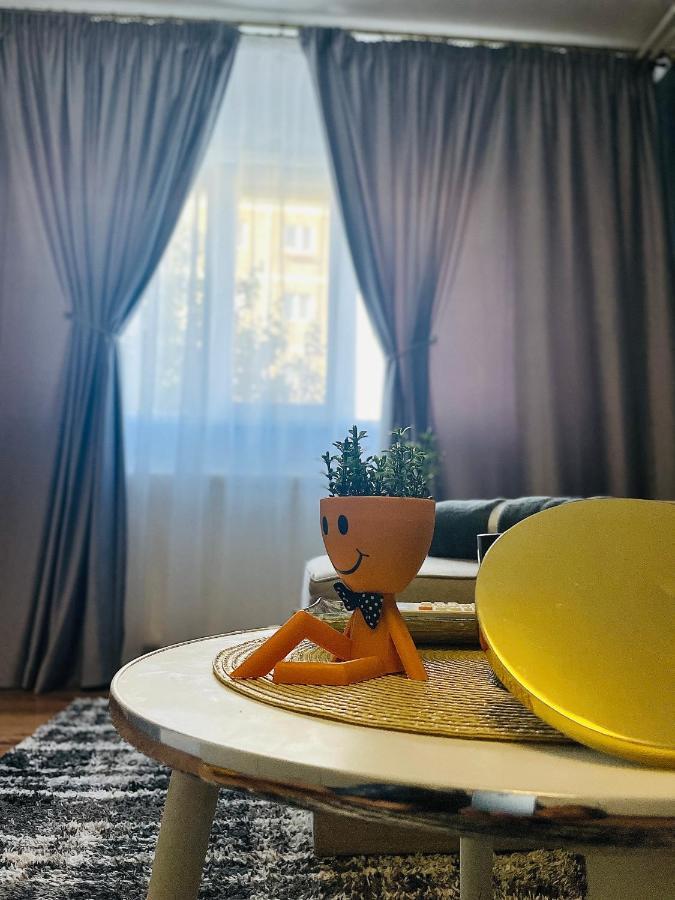 S&S Apartment Studio At Ground Floor Timisoara Town !!! Parcare La Locatie !! Buitenkant foto